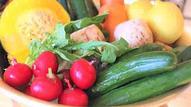 酒場アンチョコのご案内